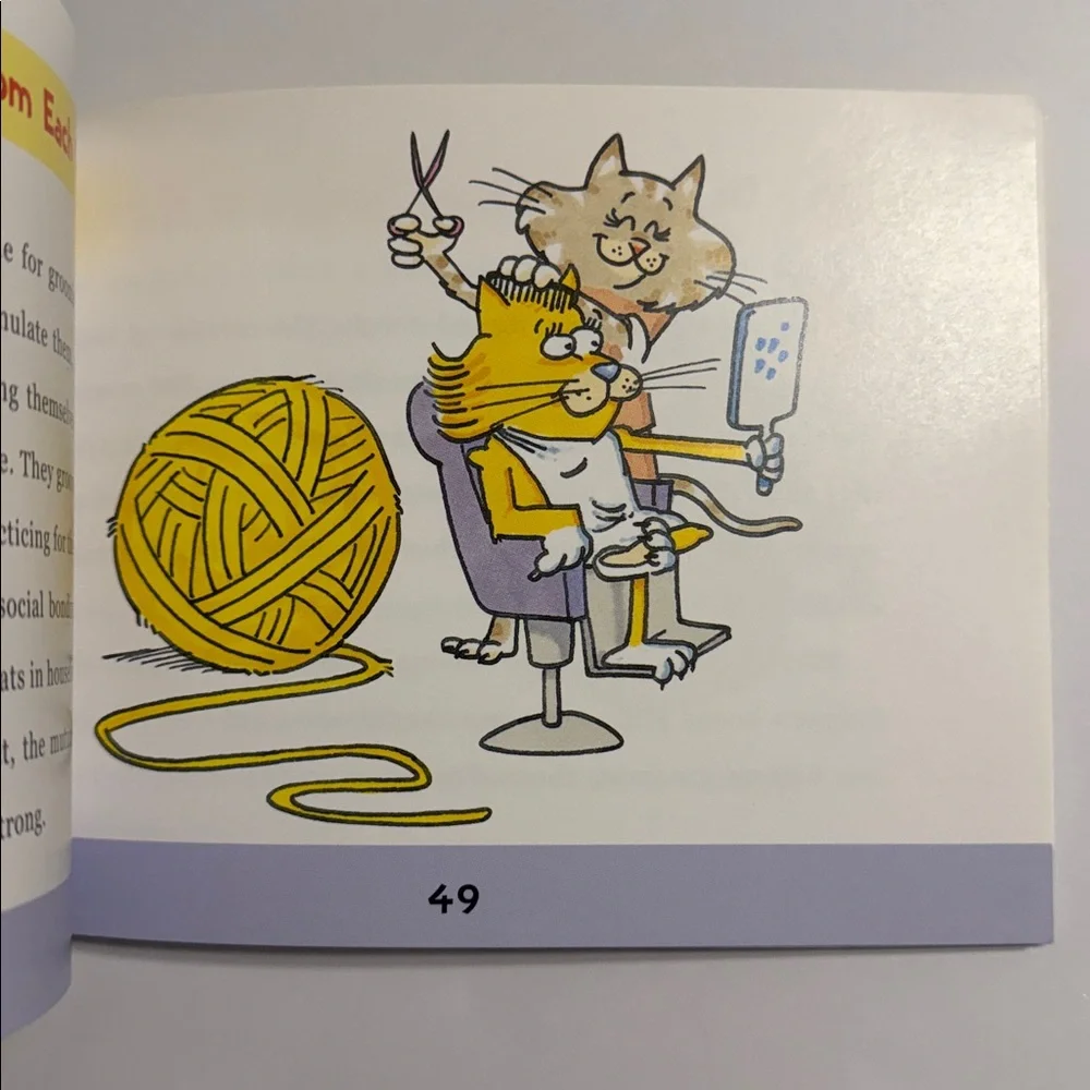 Kittens! Why Do They Do What They Do? - Illustrated Book